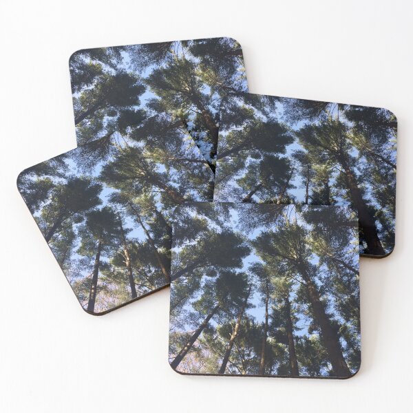 Item preview, Looking upward through pine tree canopy designed and sold by JuliVogel.