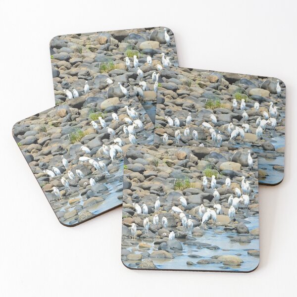 Item preview, Duck at river side-Nature designed and sold by Mekrez Ethio.
