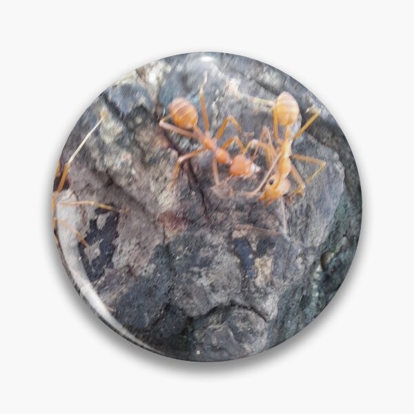 Item preview, Ants designed and sold by irosh madushan.