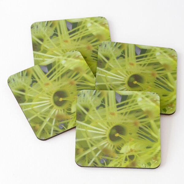 Item preview, Flower  designed and sold by irosh madushan.