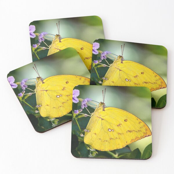 Item preview, Clouded Yellow (Celius croceus)  designed and sold by DonMc.