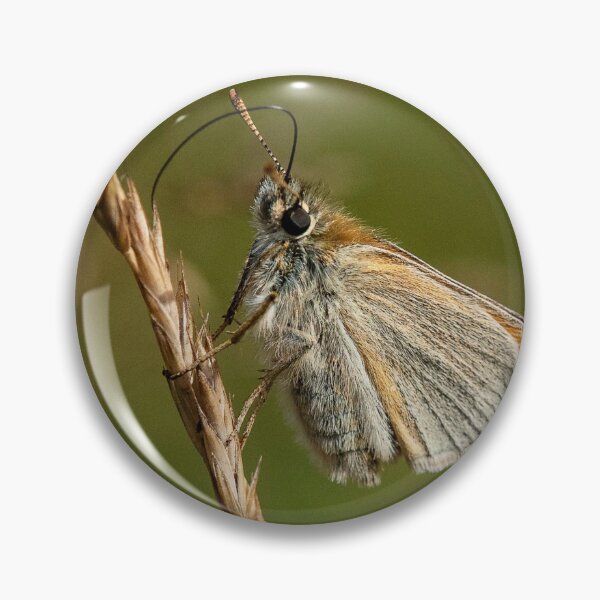 Item preview, Skipper Butterfly designed and sold by DonMc.