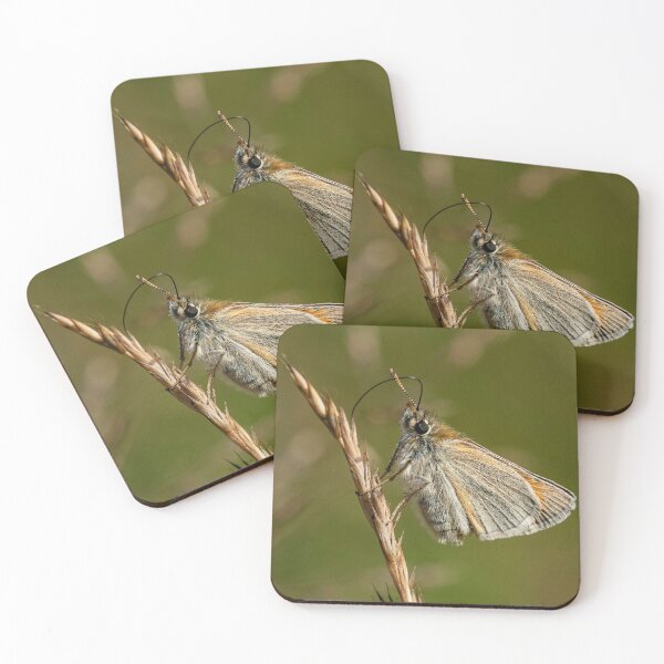 Item preview, Skipper Butterfly designed and sold by DonMc.
