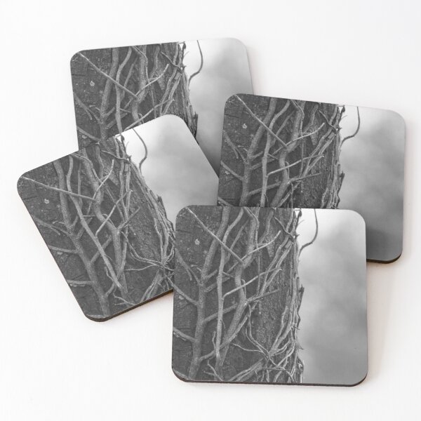 Item preview, Boomschors met oude klimop designed and sold by NiekTraas.