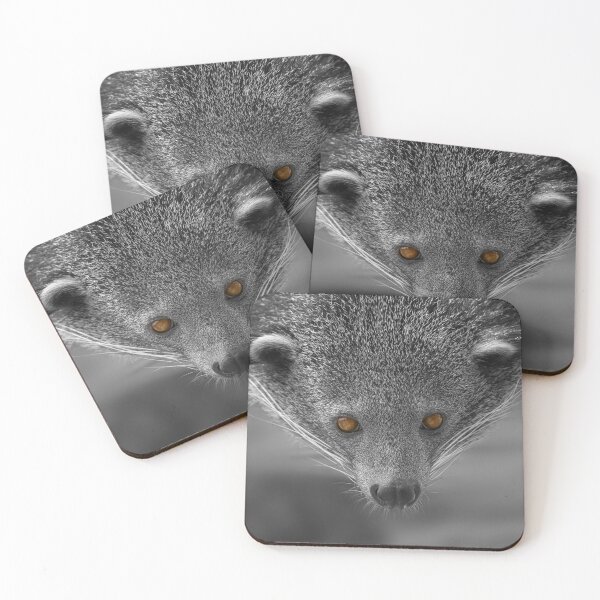 Item preview, Binturong Looking At You designed and sold by rawshutterbug.