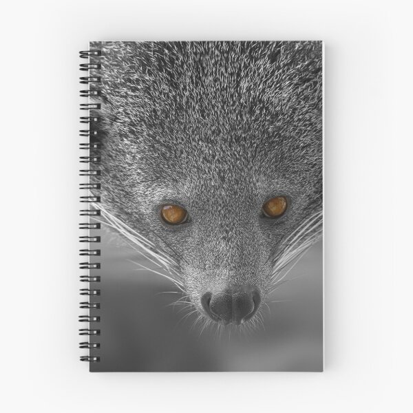 Item preview, Binturong Looking At You designed and sold by rawshutterbug.