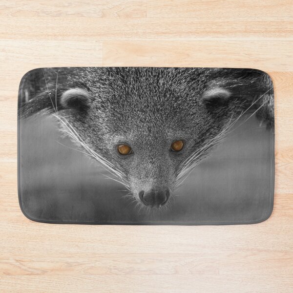 Item preview, Binturong Looking At You designed and sold by rawshutterbug.