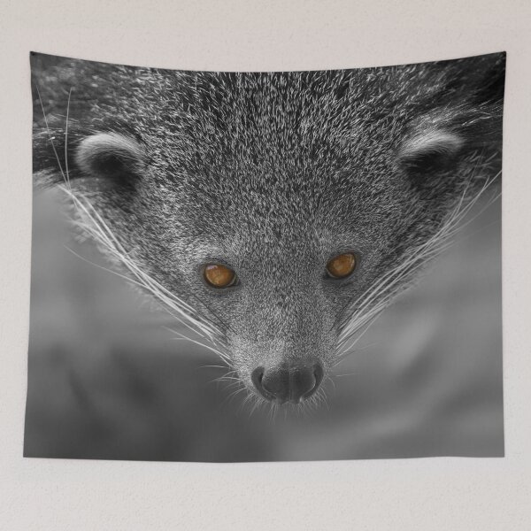 Item preview, Binturong Looking At You designed and sold by rawshutterbug.