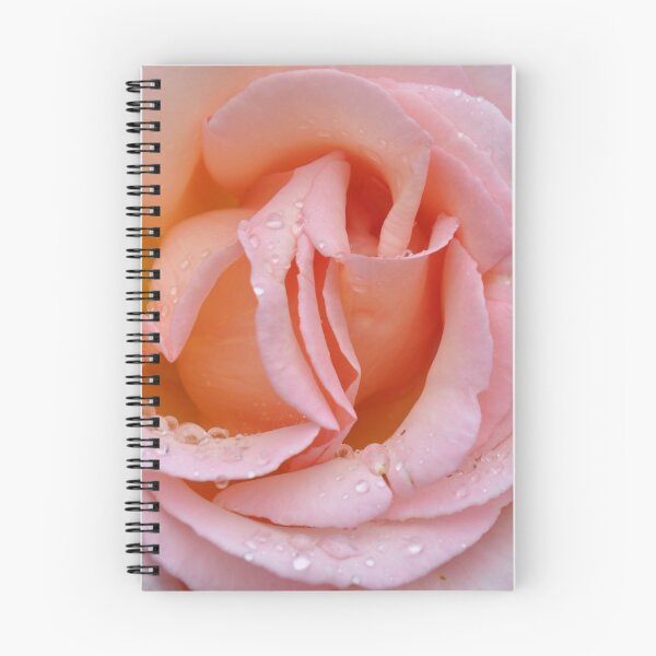 Item preview, Rosa rosada designed and sold by FunkiFunki.