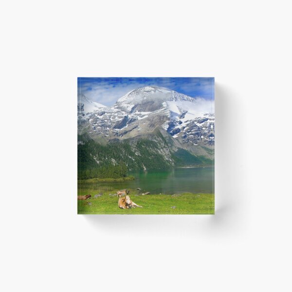 Scene of the Alps #4 Acrylic Block