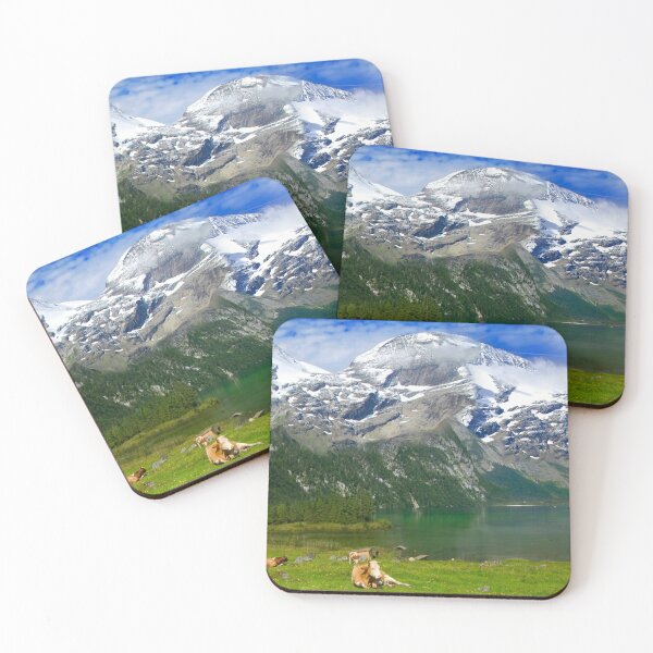 Scene of the Alps #4 Coasters (Set of 4)