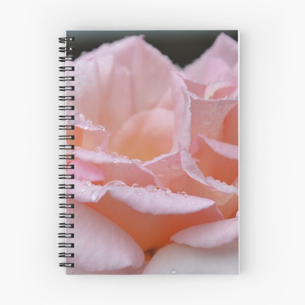 Item preview, Pink Rose in rain designed and sold by FunkiFunki.