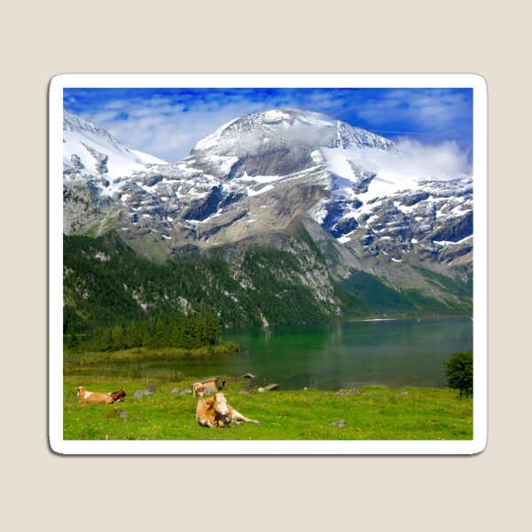 Scene of the Alps #5 Magnet
