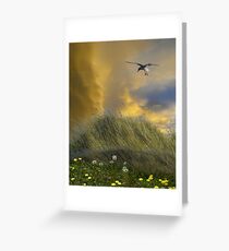 3522 Greeting Card