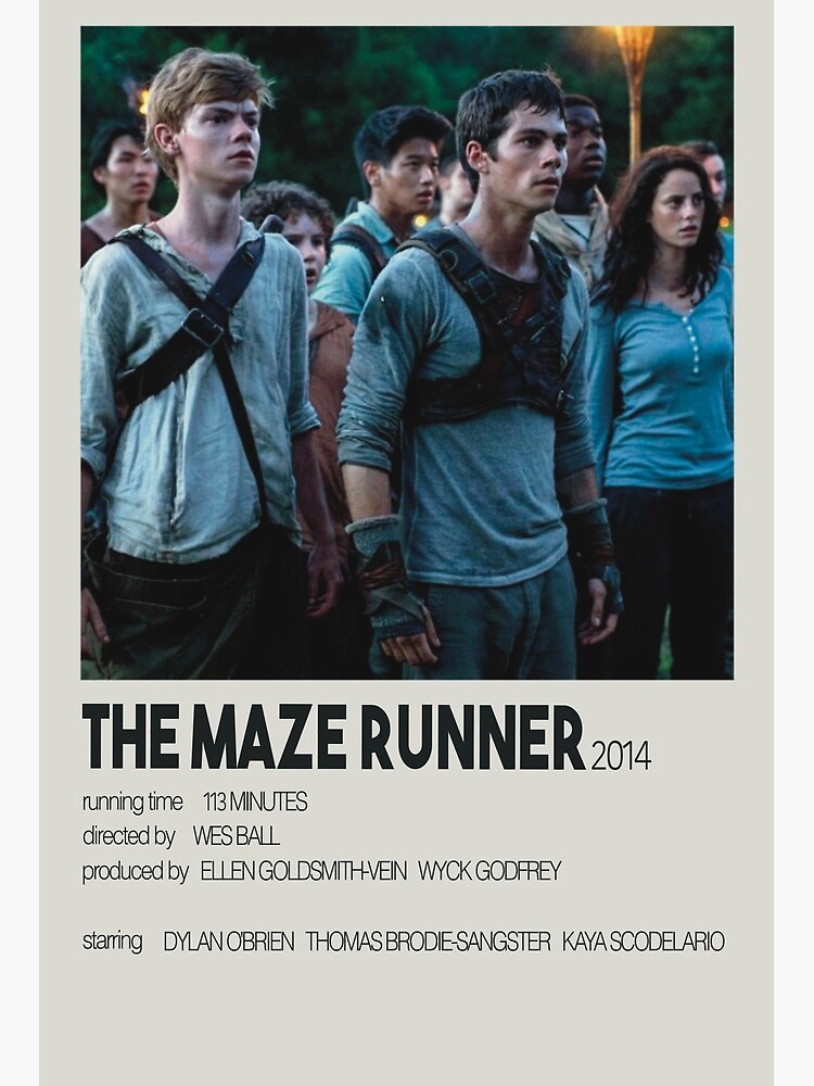 Poster Maze Runner 2 - Group 2, Wall Art, Gifts & Merchandise