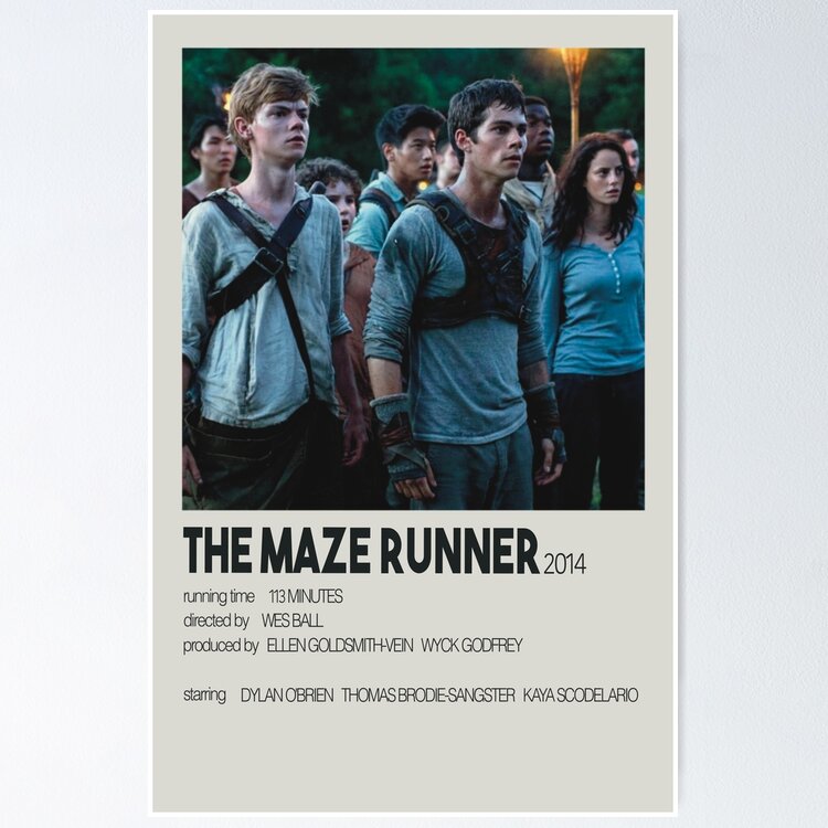 The Maze Runner - 2014 - Original Movie Poster – Art of the Movies