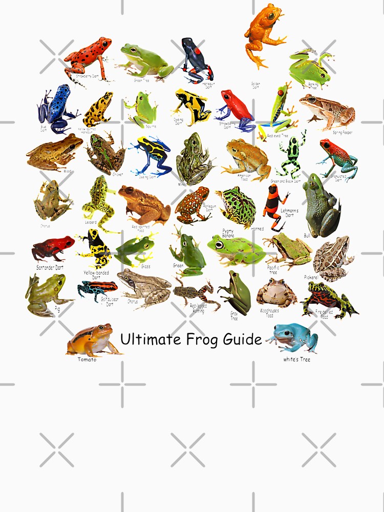 Ultimate Frog Guide by Prettygrafik