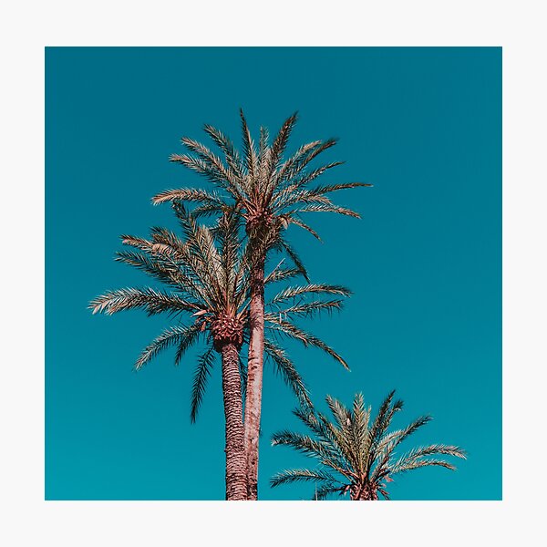 Item preview, Three exotic palms on clear turquoise sky designed and sold by Michal Siemczyk.