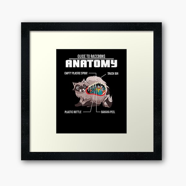 Item preview, Anatomy Of A Raccoon American Mammal Foxlike Pet Gift  designed and sold by avareid3.