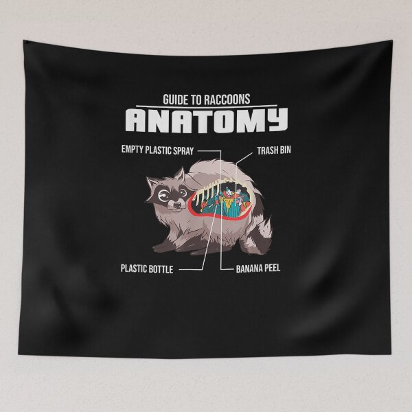 Item preview, Anatomy Of A Raccoon American Mammal Foxlike Pet Gift  designed and sold by avareid3.