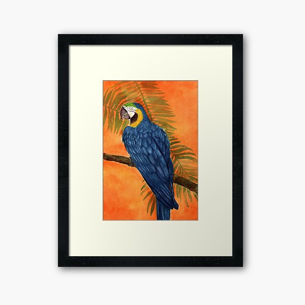 Macaw 2 Framed Art Print
