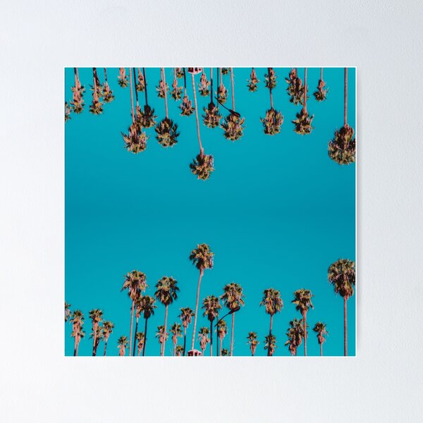 Item preview, Row of Palms reflected designed and sold by Michal Siemczyk.
