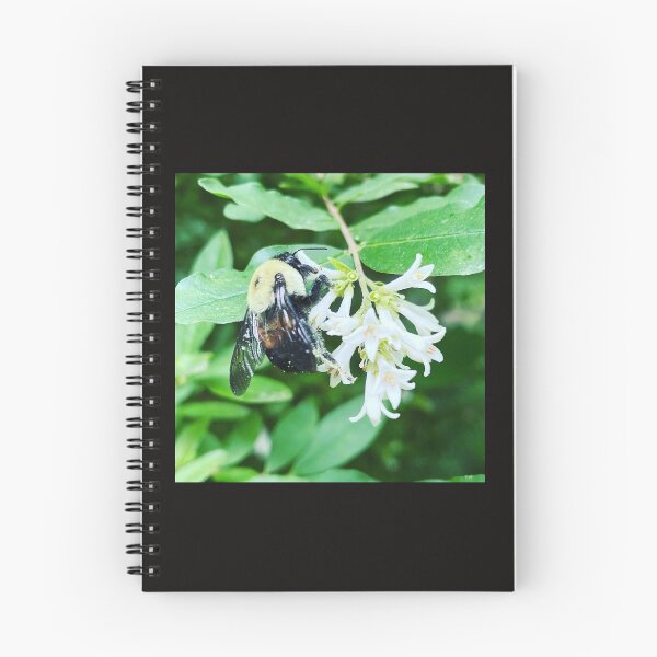 Item preview, Bee designed and sold by mowissawynnie.