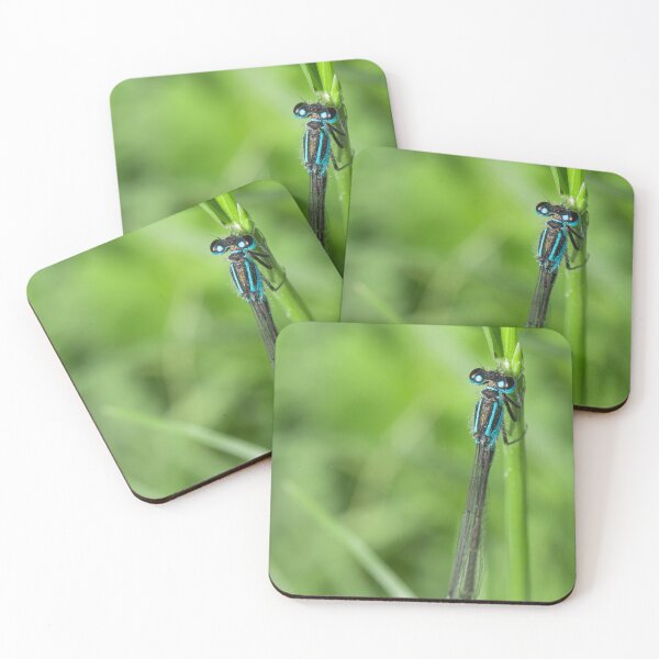 Item preview, Damselfly resting designed and sold by LifesTooBig.