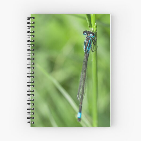 Item preview, Damselfly resting designed and sold by LifesTooBig.