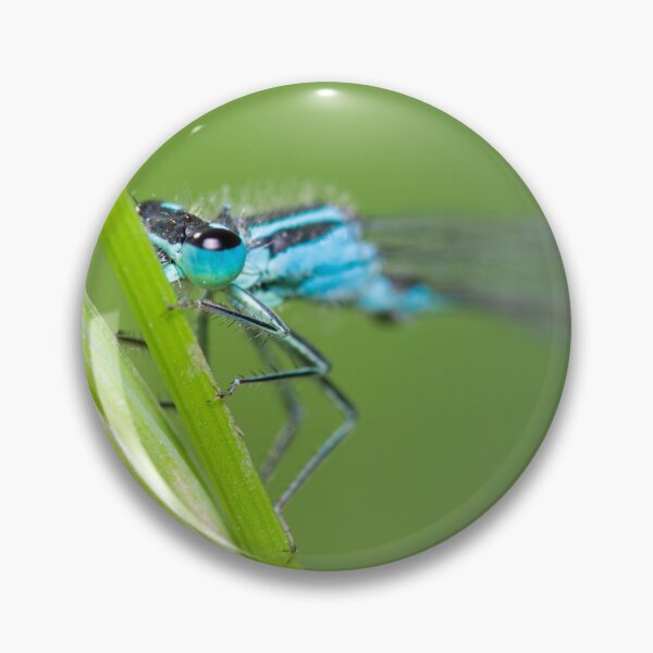 Item preview, Damselfly peeking designed and sold by LifesTooBig.