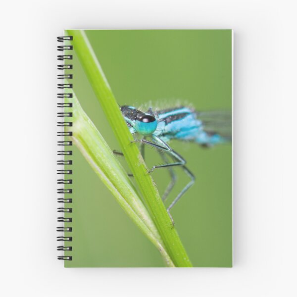 Item preview, Damselfly peeking designed and sold by LifesTooBig.