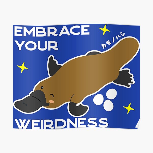 Kawaii Platypus Posters For Sale Redbubble