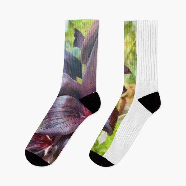 Item preview, Asiatic Lily 'Black Charm' designed and sold by Sergey Ovchinnikov.
