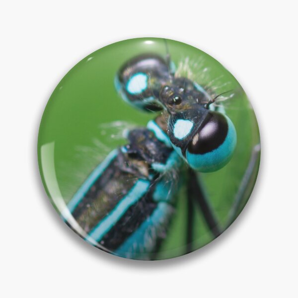 Item preview, Damselfly close-up designed and sold by LifesTooBig.