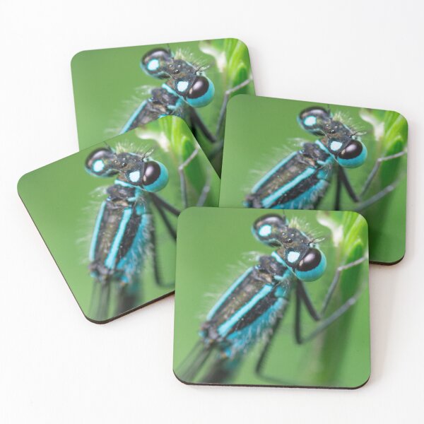 Item preview, Damselfly close-up designed and sold by LifesTooBig.