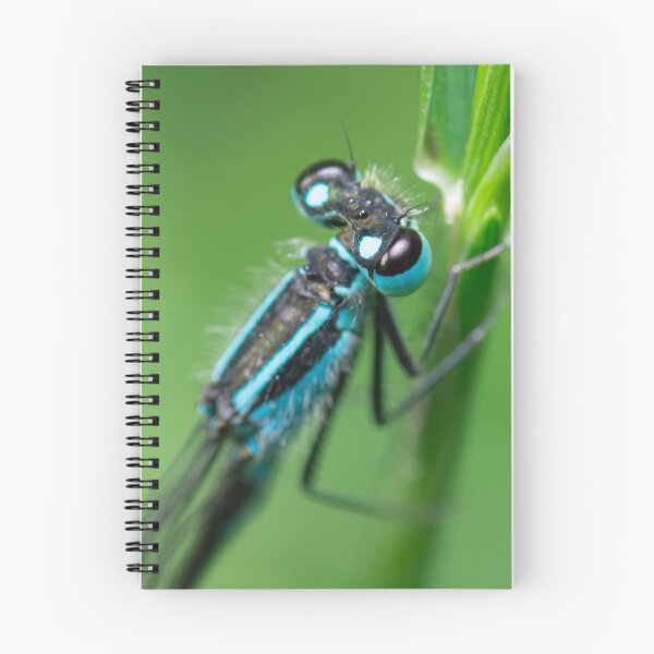 Item preview, Damselfly close-up designed and sold by LifesTooBig.