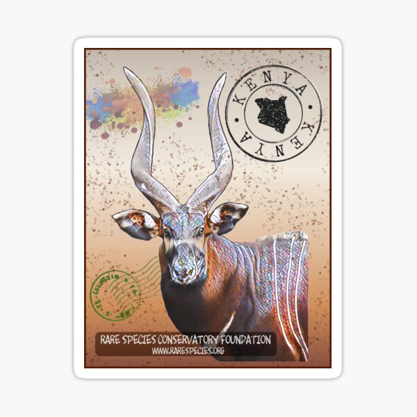 Mountain Bongo Repatriation Program Sticker