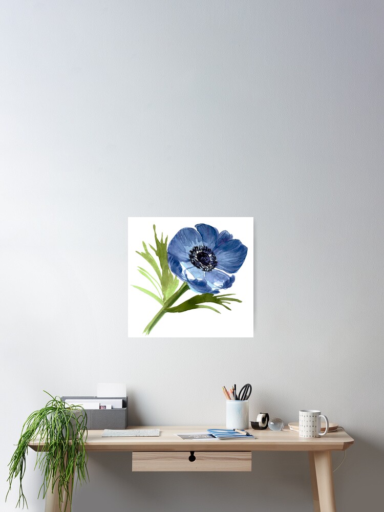 Póster «Brote de anémona. Azul anémona. Flor de anémona.» de ZheltakovaIana  | Redbubble