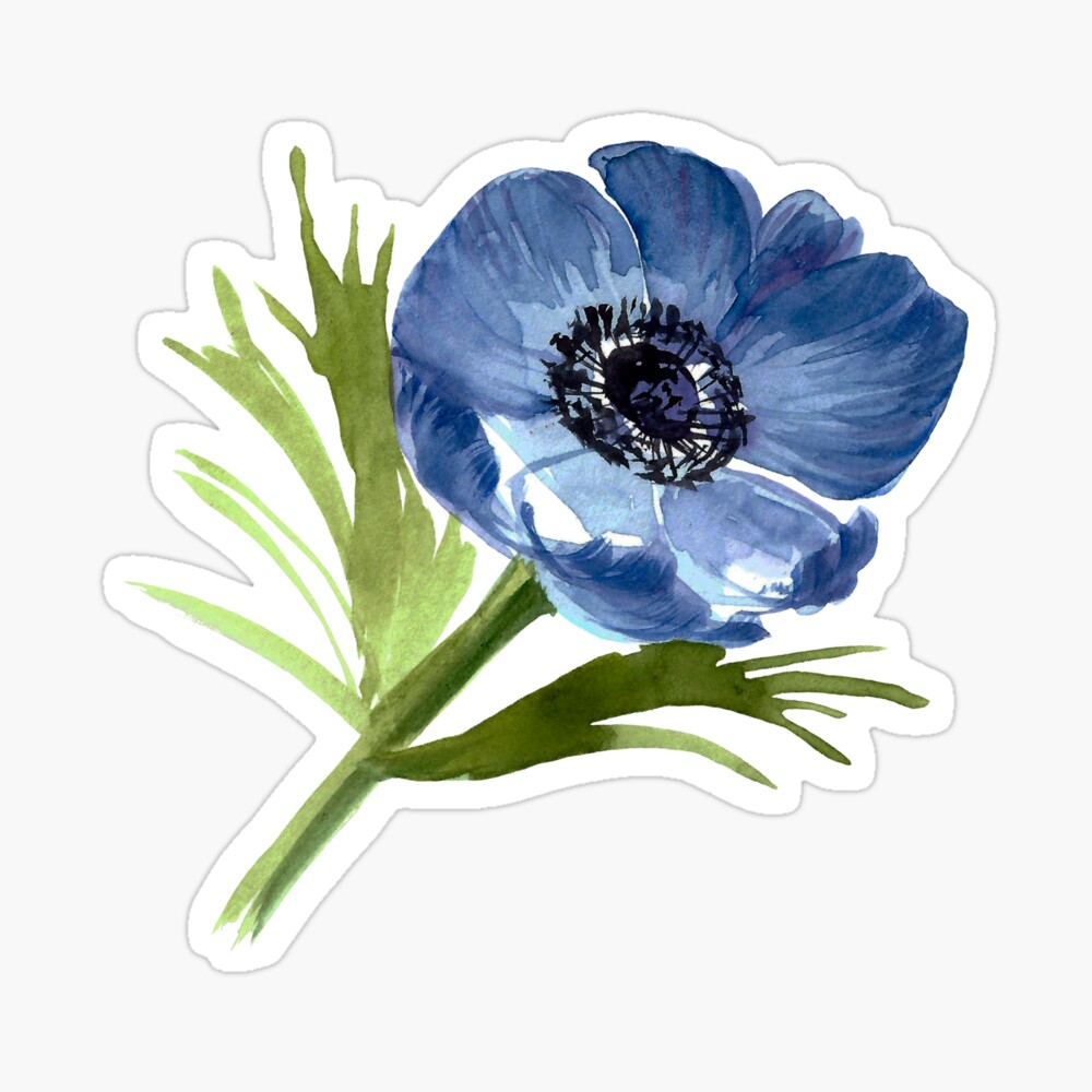 Poster « Bourgeon d'anémone. Bleu anémone. Fleur d'anémone. », par  ZheltakovaIana | Redbubble