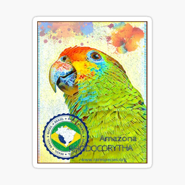 Red-browed Amazon Project Sticker