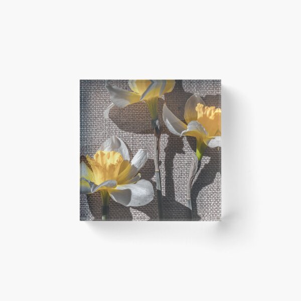 Item preview, Desaturated Daffodils designed and sold by Jim Love.