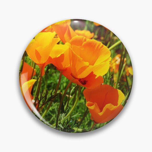 Item preview, Colorful California Poppies Photograph designed and sold by Bumblefuzzies.