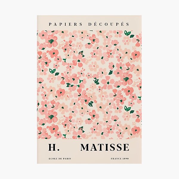 Flower Pink H Matisse Photographic Print