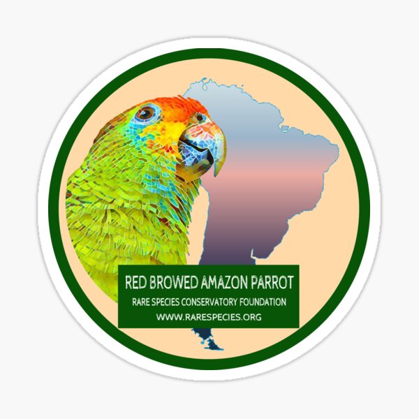 Red-Browed Amazon Project Sticker