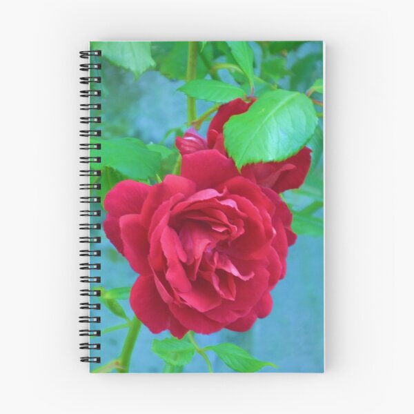 Item preview, One Red Rose ........... designed and sold by lynn carter.