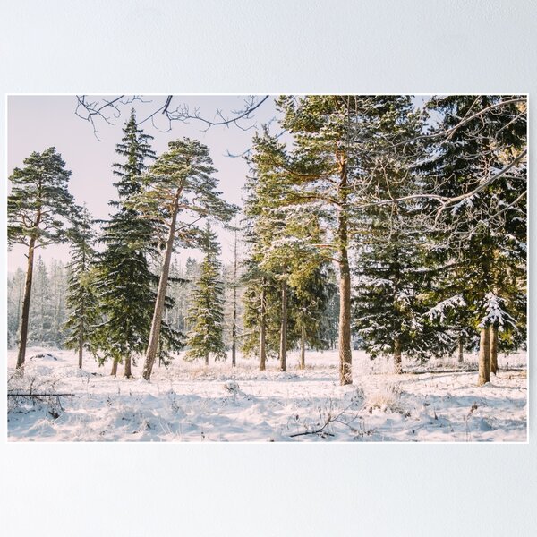 Item preview, Sunny Winter Forest - Wonderland Snow Landscape designed and sold by ppolecho.