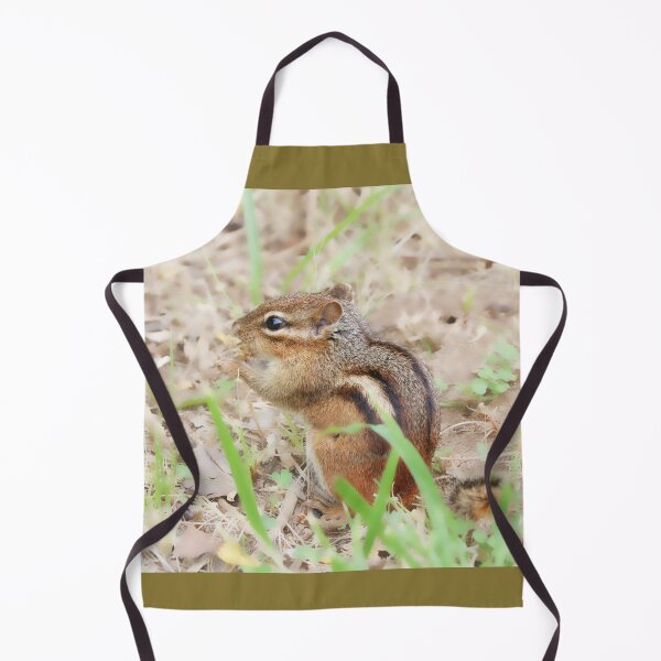 Item preview, Chippy designed and sold by Anita Oakley.