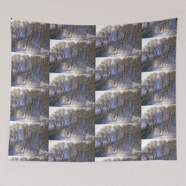 Item preview, Winter Trees designed and sold by Shulie1.