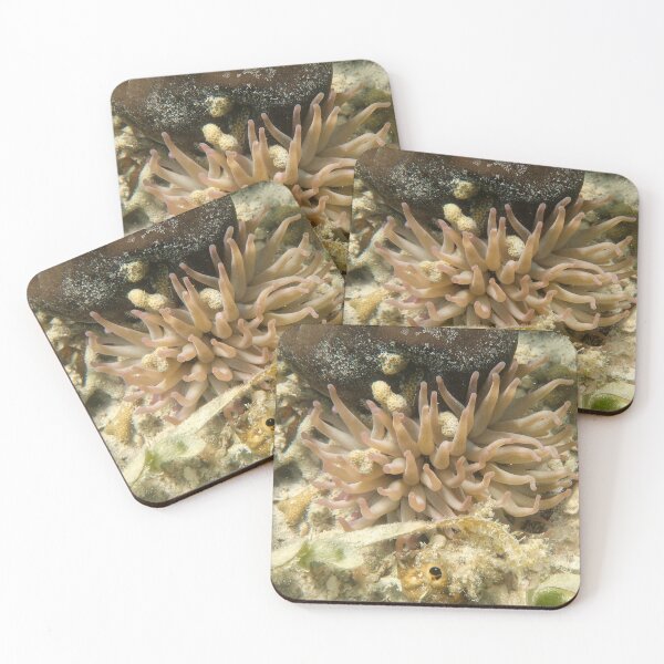 Item preview, Sea Anemone   designed and sold by JessicaJam.