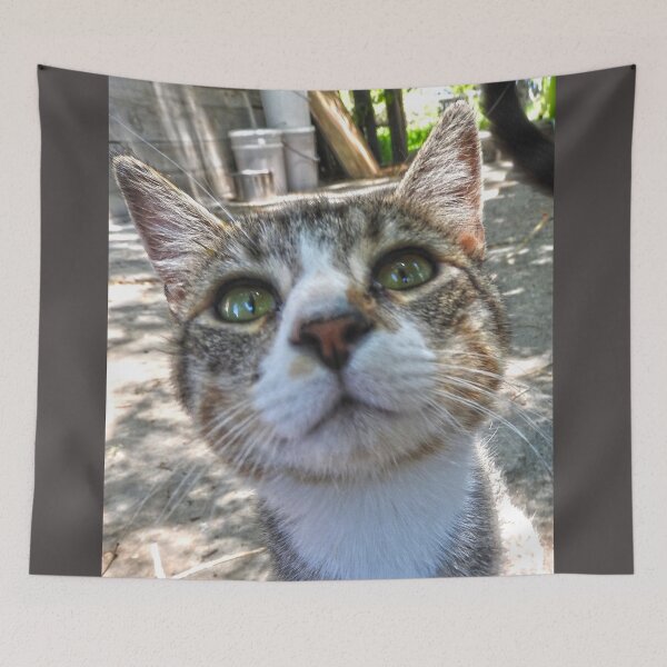 Item preview, close up of a green eeyed cat  designed and sold by Stephanie  Skeem.